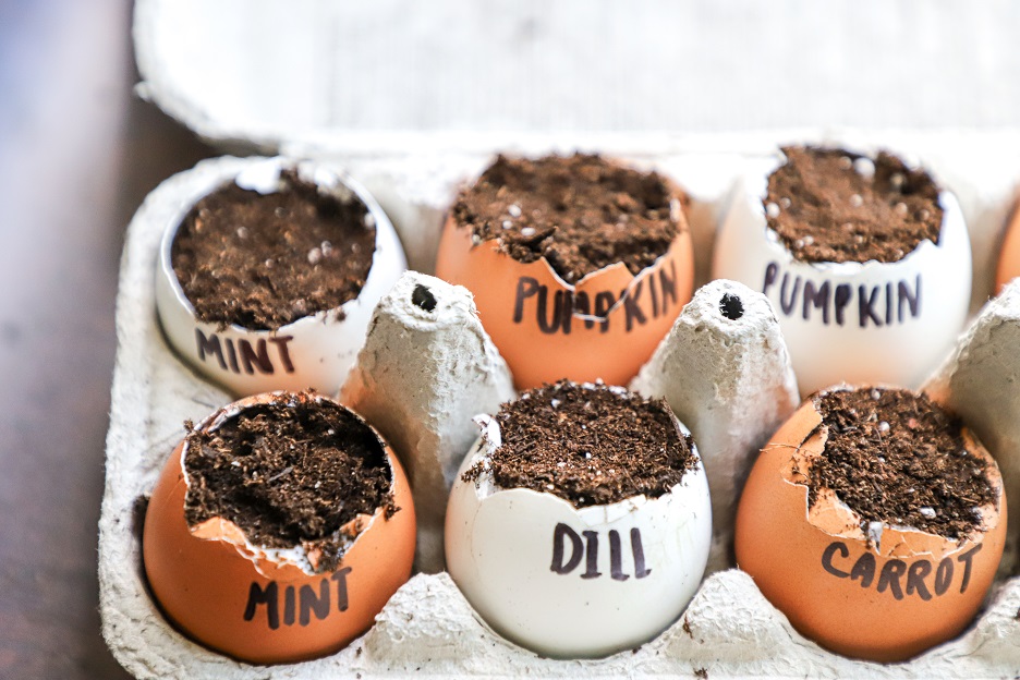 egg shell crafts