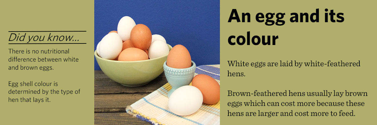 An-egg-and-its-colour.jpg 