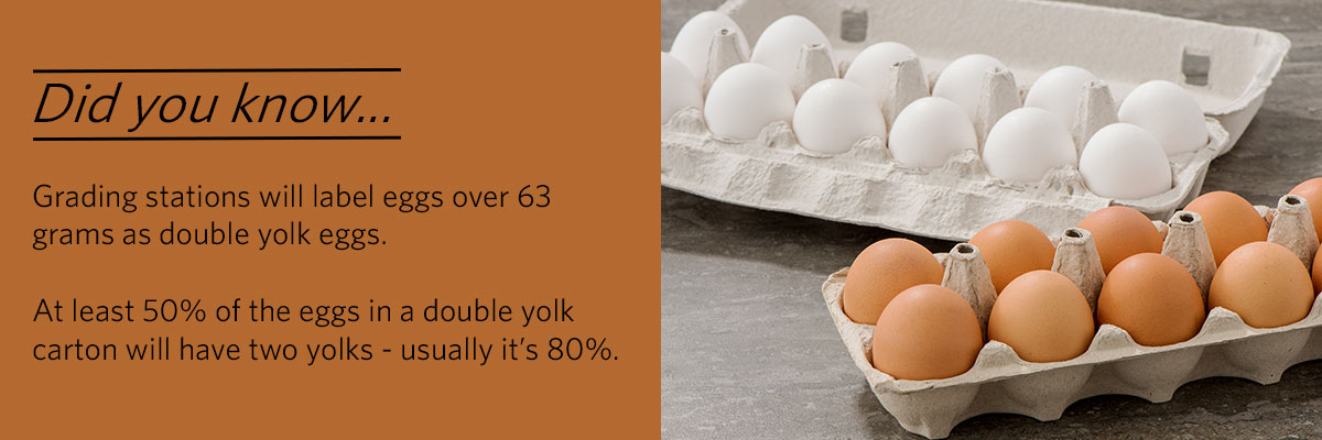 double-yolk-eggs.jpg 