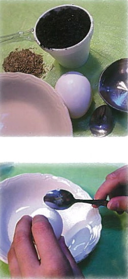 eggshell-plant-pots-1_0.jpg