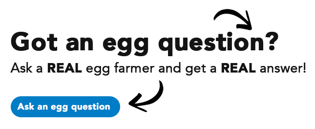 Egg Questions