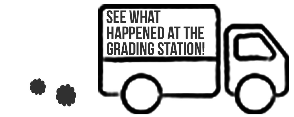 what-happened-at-the-grading-station.jpg