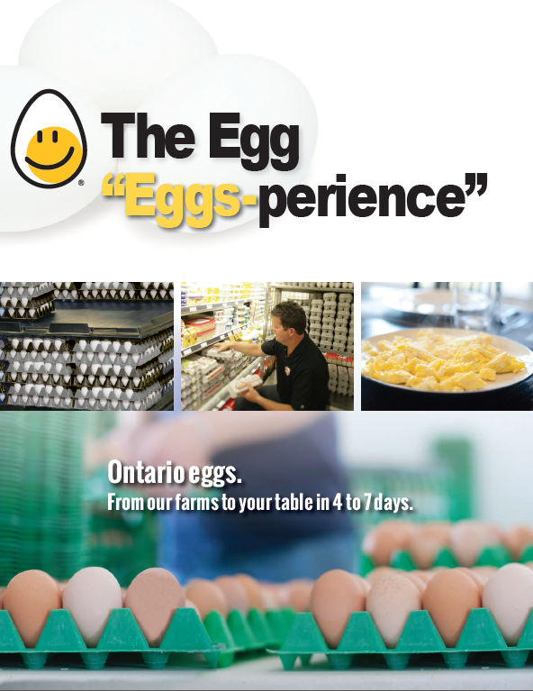 Eggsperience