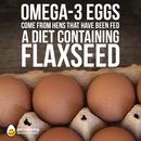 Omega-3 eggs 