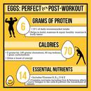 Eggs after your workout