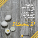 Vitamin D in eggs