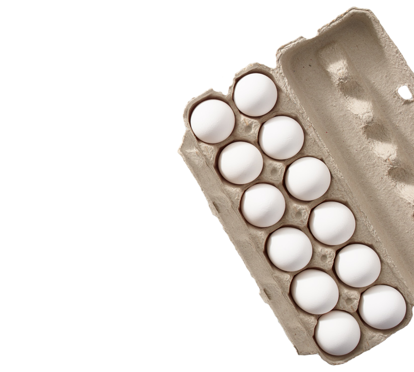 Are grocery store eggs ever fertilized?