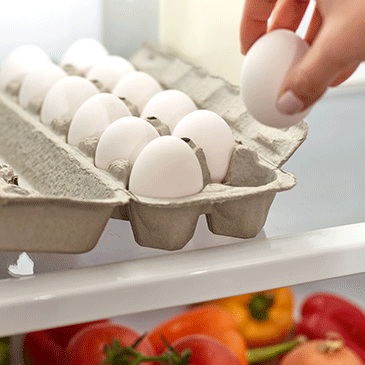 Hand placing fresh eggs in refrigerator carton
