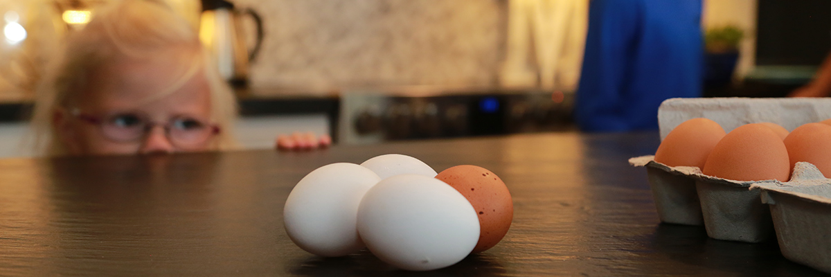 Child look at eggs on a counter